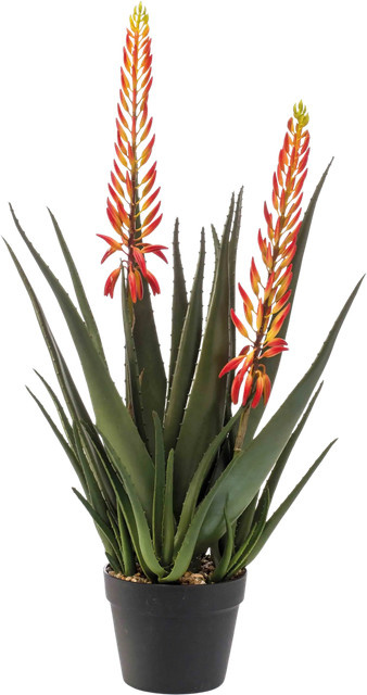 Künstliche Aloe Paulina Sukkulente von Aplanta, Höhe: 80 cm - Bild 1