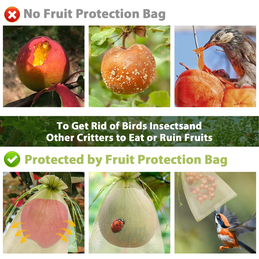Obstschutz Taschen mit Kordelzug für Erdbeeren und Trauben zur Schädlingsbekämpfung im Gemüsegarten, 100 Stück - Bild 4