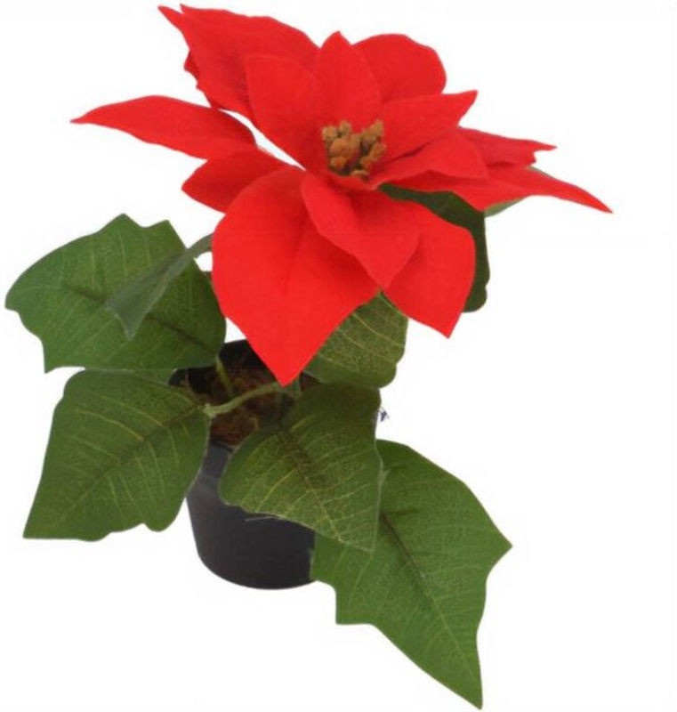 Künstlicher Weihnachtsstern von HOME STYLING in Rot und Schwarz, Dekoration aus Kunststoff, Höhe: 19 cm - Bild 1