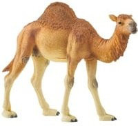Schleich Wild Life Dromedar Spielfigur - Bild 1