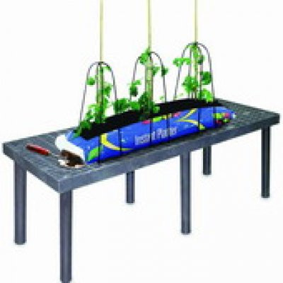 Pflanzstätte Tisch 6 - Bild 1