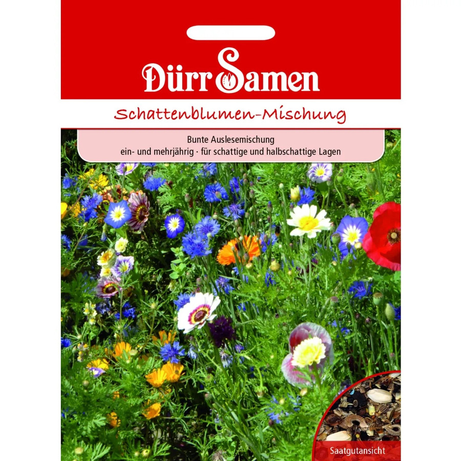 Dürr Schattenblumen Blumenmischung Saatgut für Beete und Vorgärten Ein- und Mehrjährig - Bild 2