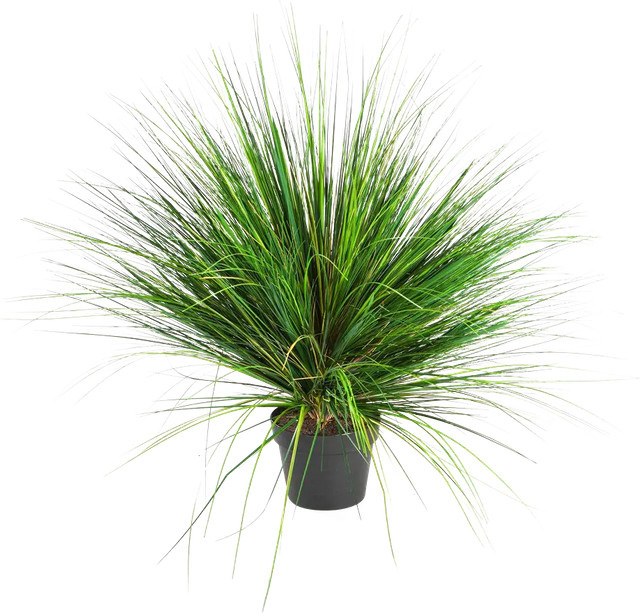 Künstliches Gras Aplanta Onion Höhe: 65 cm - Bild 1