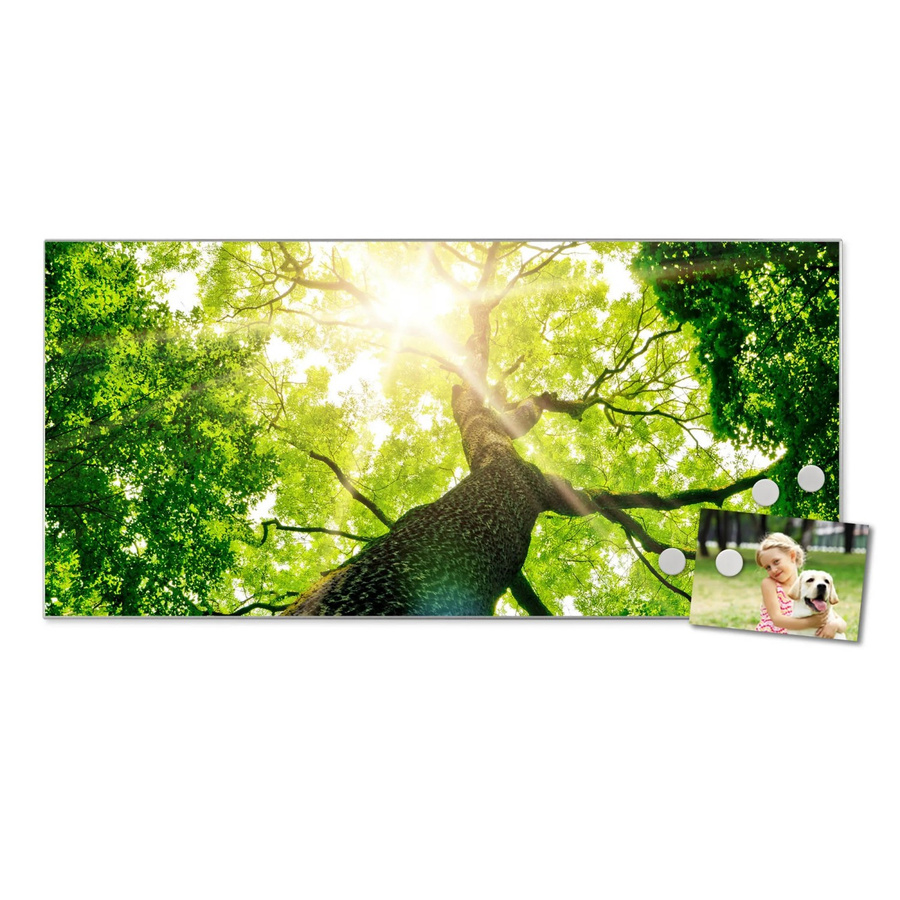 Banjado Magnettafel aus Metall in Silber mit Motiv Baumkrone inklusive 4 Magneten, B/H: 78 x 37 cm - Bild 2