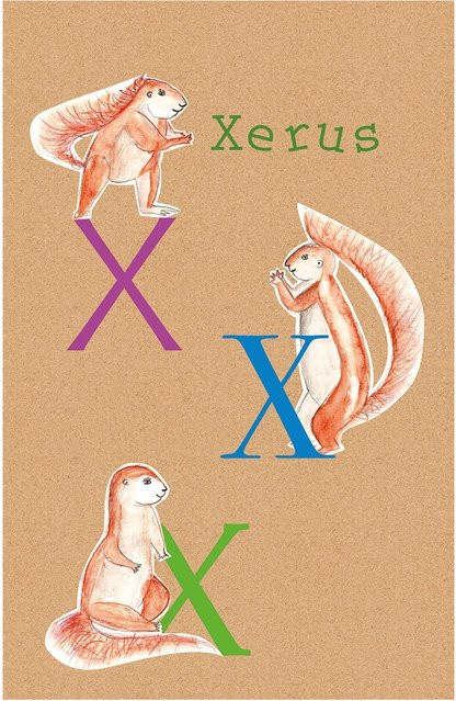 Komar Wandbild ABC Animal Paper Poster, Multicolor, Breite: 50 cm, Höhe: 70 cm - Bild 1