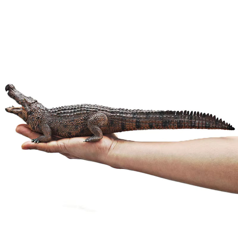 XIALIBAOMOWAN Krokodil-Actionfigur, Wildtiermodell, Braun, Kunststoff - Bild 4