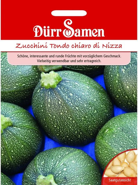 Dürr Zucchini Tondo Chiaro Di Nizza Saatgut - Bild 1