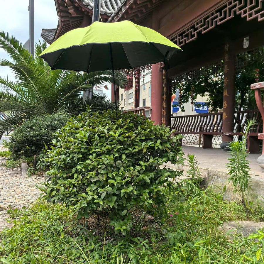 Wetterfester Pflanzenschattenschirm mit Metallstange für Topfpflanzen und Garten in Schwarz und Grün - Bild 3