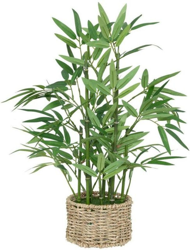 Künstlicher Bambus Ly von Atmosphera in Grün mit Topf B: 30 cm, H: 46 cm - Bild 2