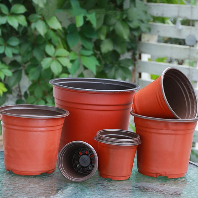 Flexible Anzuchttöpfe aus Kunststoff für Garten und Kindergarten, 50 oder 100 Stück, Pflanzgefäße für die Aussaat mit 9-14 cm Durchmesser - Bild 1
