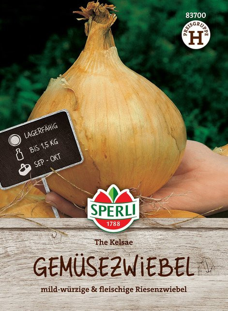 SPERLI Gemüsezwiebel-Samen The Kelsae für den Gemüsegarten - Bild 1