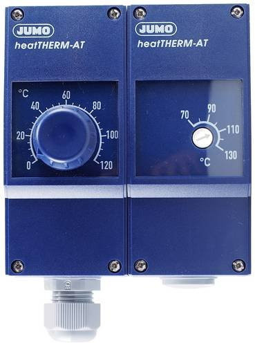 Jumo Doppelthermostat 60003195 in Blau mit Wandmontage und Kunststoffgehäuse - Bild 1