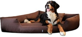 Tierlando TRIVIA orthopädisches Hundebett aus Microfaser in Braun mit abnehmbarem Bezug, B/T/H: 100 x 100 x 25 cm - Bild 1