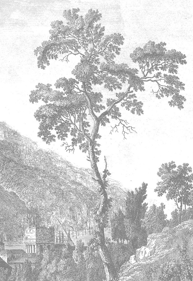 KEK Amsterdam Mural Engraved Landscapes 1 Wandbild in Schwarz Weiß Grau, Breite: 194,8 cm - Bild 1