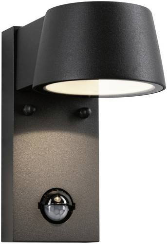 Paulmann Capea 94453 LED-Außenwandleuchte mit Bewegungsmelder in Grau - Bild 1