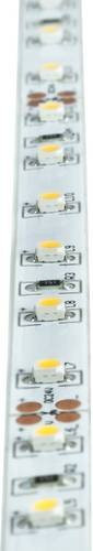 Brumberg LED-Streifen 15272004 Neutralweiß 24V IP67 5m - Bild 1