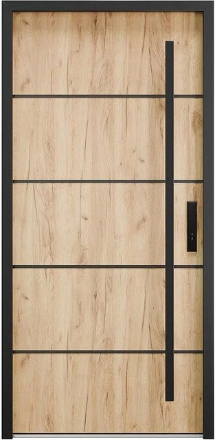 Haustür Lusada Modern in Beige aus Stahl, B: 95 cm, H: 207 cm, T: 100 cm - Bild 1