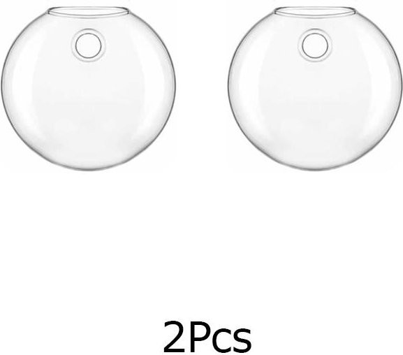 6XHSupplies Transparente Glas Wandvase für Wandmontage als flaches Terrarium und Pflanzgefäß - Bild 1
