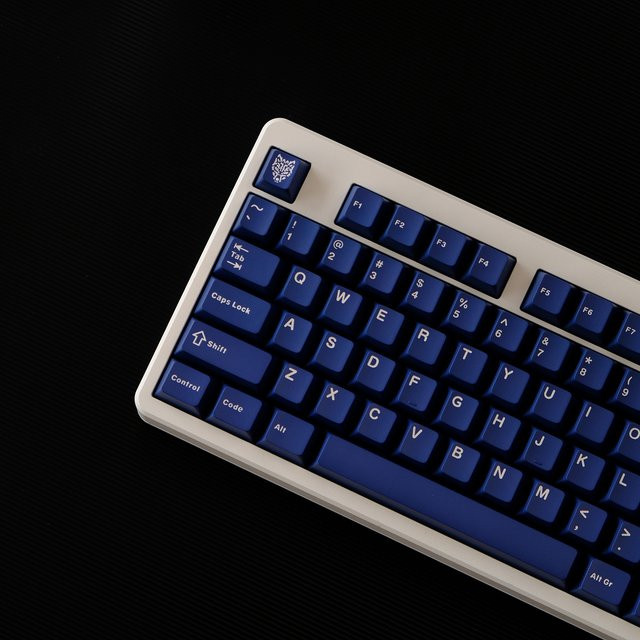 FSWHBY Double Shot PBT Tastenkappen im Cherry Profil für mechanische Tastaturen mit Cherry MX Switches, 114 Tasten, Dunkelblau - Bild 1