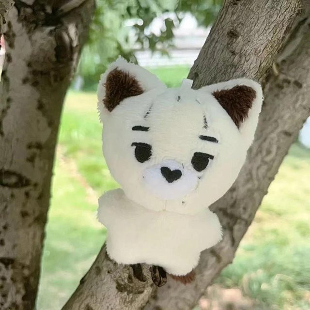 Yiran toy Kpop Plüschtier Jungwon Heeseung Jay Jake Sunghoon, Schlüsselanhänger, ab 14 Jahren - Bild 1