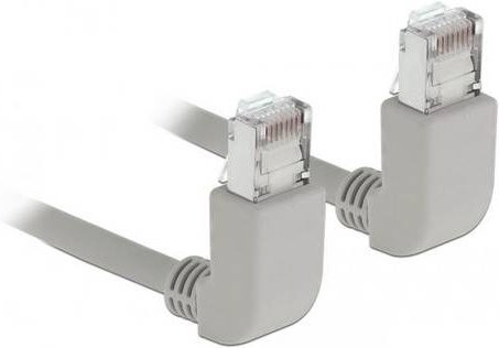 Delock RJ45 Patchkabel CAT 6a S/FTP Ethernet LAN in Grau, Länge: 1,00 m - Bild 1