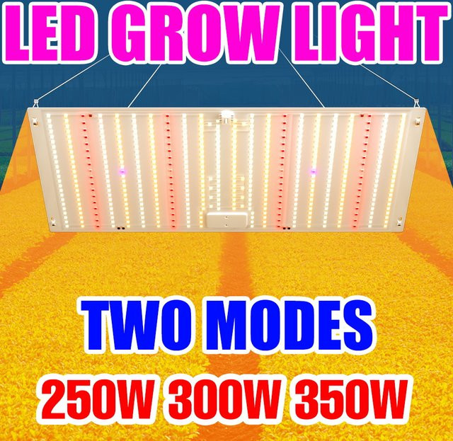 CanLing 350W Vollspektrum LED-Wachstumslampe Quantum-Board für Hydrokultur und die Kultivierung von Gemüse und Obst - Bild 1