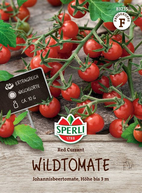 SPERLI Wildtomaten-Samen Red Currant - Bild 1