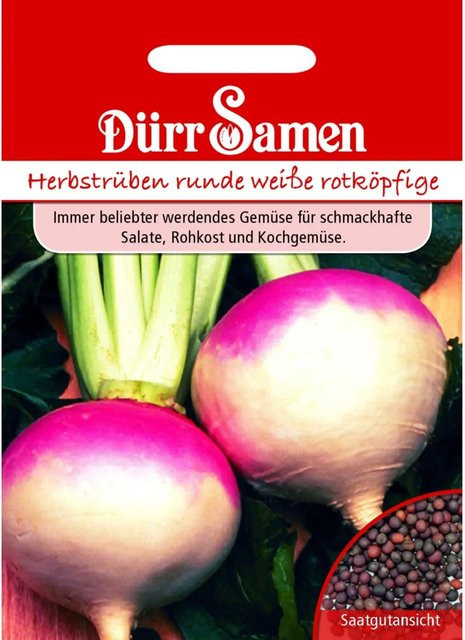 Dürr Samen Herbstrüben Runde Weiße Rotköpfige Salat Saatgut 500 g - Bild 1