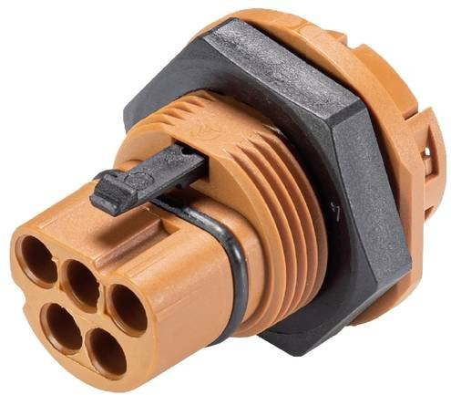 Wieland Electric 96.152.1051.4 Geräteanschluss in Orange - Bild 1