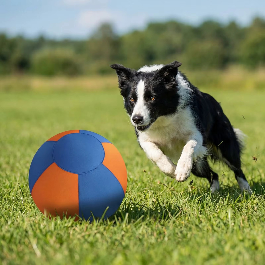 ATUOTIN Hundetrainingsball mit Schutzhülle & Pumpe, Hunde-Spielzeug - Bild 2