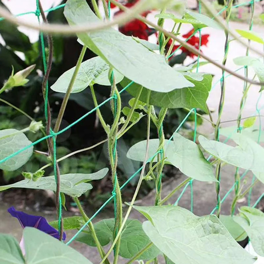 Grünes Garten-Kletternetz aus Polyester als Rankgitter für Blumen, Gemüse und Obst, B: 1,8 m, H: 1,8 m - Bild 4