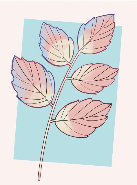 Komar Wandbild Cinderella Plant Paper Poster, Multicolor, Breite: 30 cm, Höhe: 40 cm - Bild 1