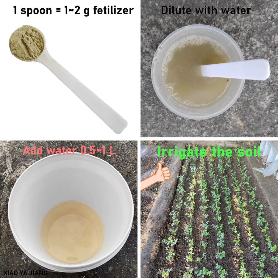 Paenibacillus Mucilaginosus Bio-Mikrobieller Dünger zur Förderung der Bodenfruchtbarkeit und des Pflanzenwachstums, 50 g - Bild 3