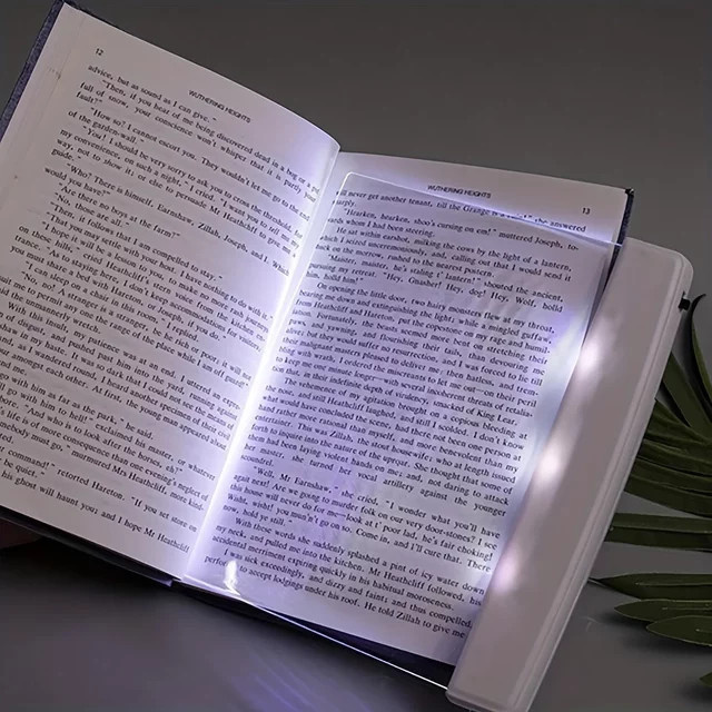 LED Flat Panel Leselicht in Weiß mit Augenschutz und Nachtsichtfunktion - Bild 1
