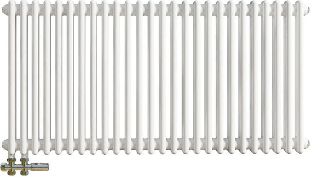 Duschparadies Traditioneller Heizkörper in Gusseisen-Optik mit 2 Säulen, Weiß, B: 60,0 cm, H: 119,0 cm - Bild 1