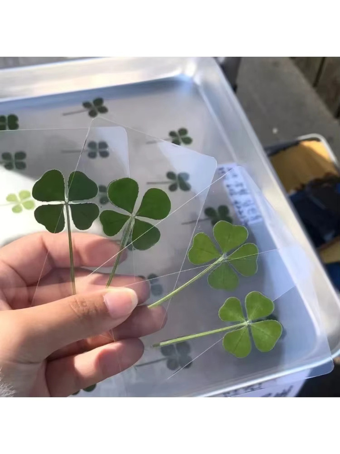5 Stück kissbuty Lucky Clover Postkarten aus transparentem Papier in Grün, florale Wunschkarten als Lesezeichen und Dekoration - Bild 6