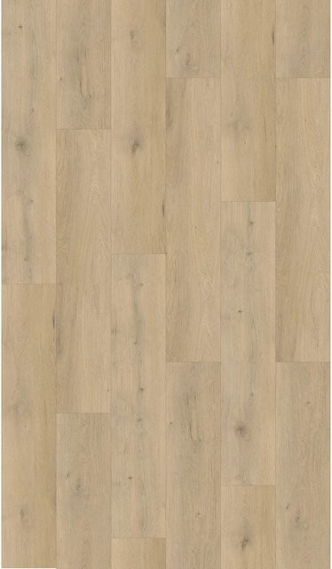 Decoflooring Vinylboden Dryback Bretagne Eiche in Braun und Beige in Holzoptik - Bild 1