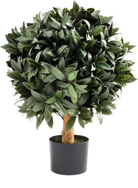 Künstlicher Lorbeerbaum Vaelis Höhe: 75 cm - Bild 1