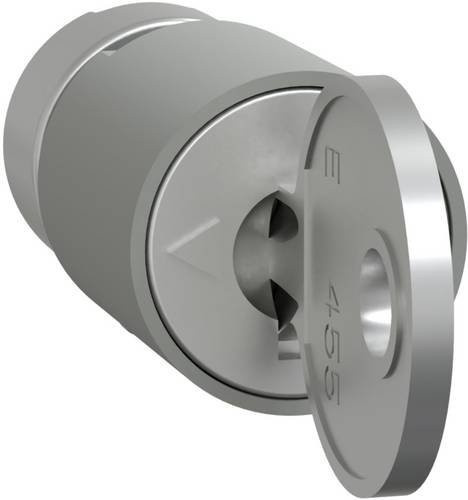 Schneider Electric PrismaSeT-P Zylinderschloss LVS07944 in Silber mit 2 Schlüsseln - Bild 1