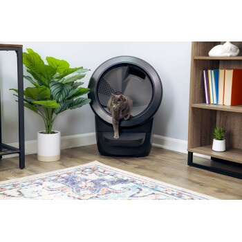 Whisker Litter-Robot 4 Katzen-Selbstreinigendes Katzenklo in Schwarz - Bild 2