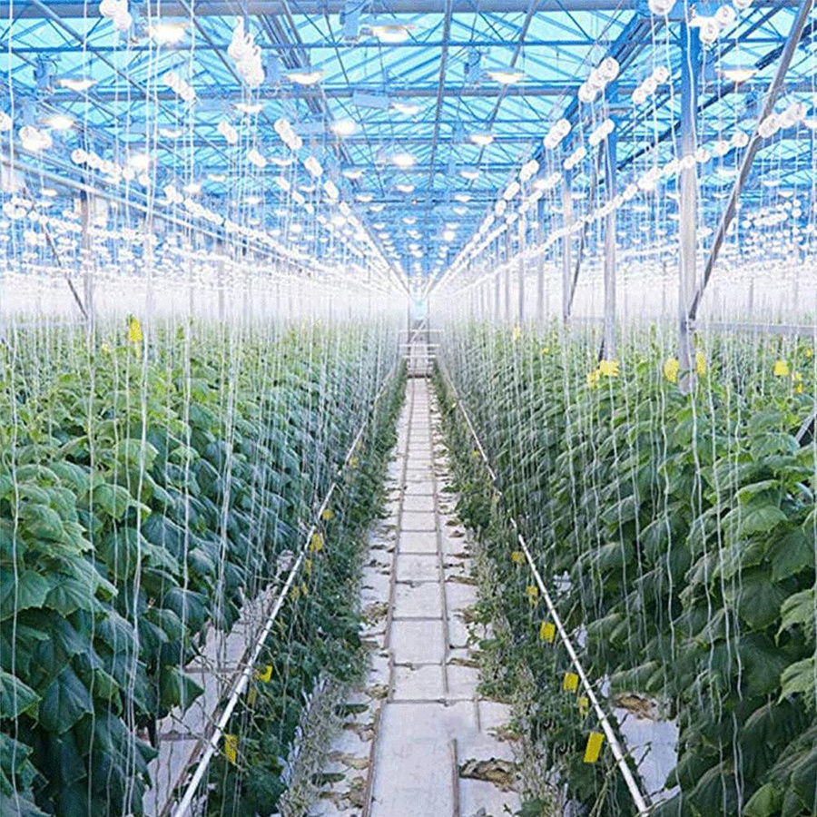 TOMTOP JMS 10er Set Tomaten Spalier Roller Haken mit 15m Schnur zur Tomaten Unterstützung aus verzinktem Material und PP - Bild 2