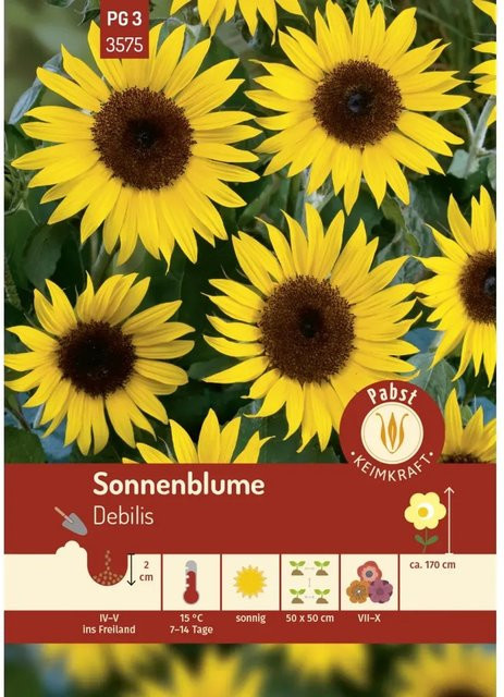 Pabst Keimkraft Sonnenblume Debilis Saatgut für Beete und Rabatten - Bild 1
