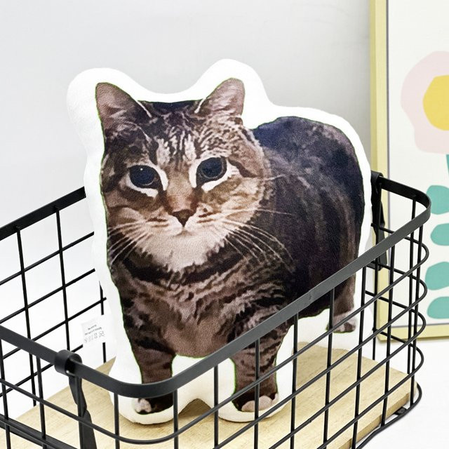 oiiai Internet Celebrity Cat Alien-Kissen, Plüschkissen, bunt - Bild 1