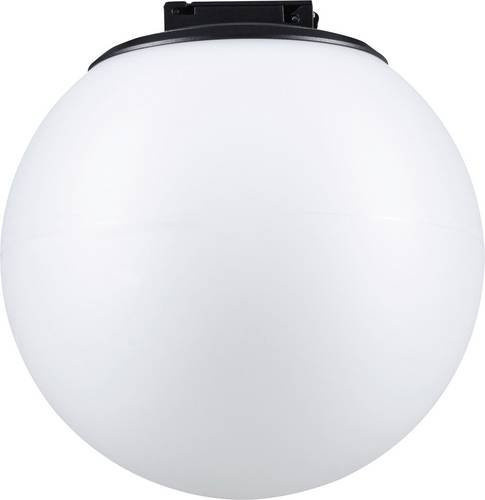 Paulmann Uline Hochvolt-Schienensystem-Leuchte LED Schwarz 8W Warmweiß - Bild 1
