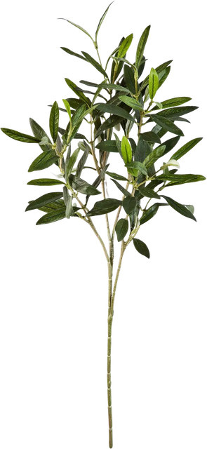 Künstlicher Olivenbaum-Zweig Gino von artplants in Grün, Höhe: 50 cm - Bild 1