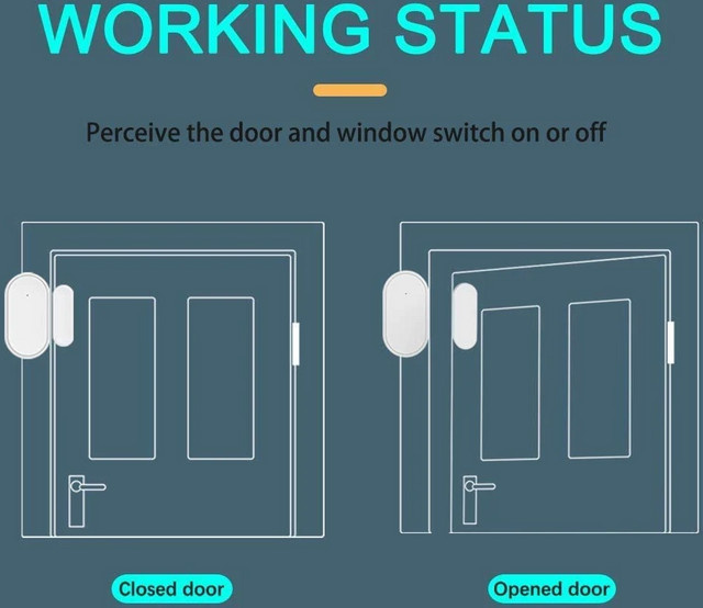 Tuya ZigBee Smart Tür- und Fenstersensor in Weiß für dein Smart Home Alarmsystem mit Alexa und Google Unterstützung - Bild 1