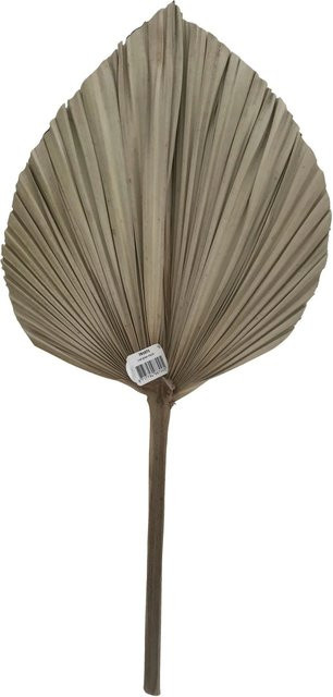 Modern Living Dekoblatt Leaf in Beige und Multicolour für die Tischdekoration - Bild 1