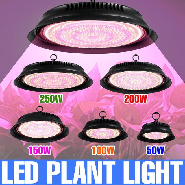 CanLing 250 W LED Vollspektrum Pflanzenlampe für Hydrokultur und Gewächshäuser, Schwarz - Bild 1