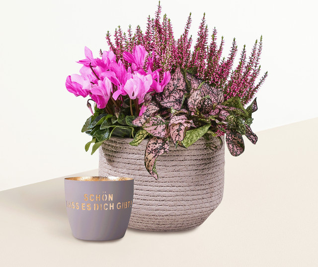 Blume2000 Pink Blush Windlicht mit Keramiktopf und Aufschrift Schön dass es dich gibt in Pink und Lila - Bild 1