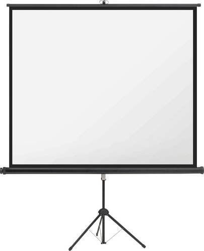 Magnetoplan Stativleinwand Weiß Bildformat 16:9 B: 240 cm, H: 135 cm - Bild 1